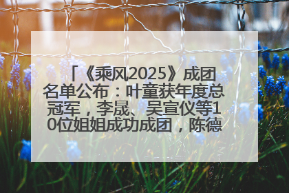 《乘风2025》成团名单公布：叶童获年度总冠军，李晟、吴宣仪等10位姐姐成功成团，陈德容获年度高光人物