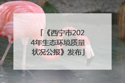 《西宁市2024年生态环境质量状况公报》发布