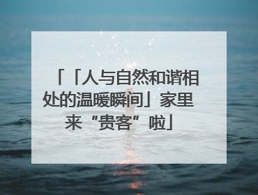 「人与自然和谐相处的温暖瞬间」家里来“贵客”啦