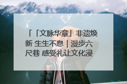 「文脉华章」非遗焕新 生生不息｜漫步六尺巷 感受礼让文化浸润的“巷”往生活