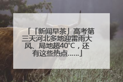 「新闻早茶」高考第三天河北多地迎雷雨大风、局地超40℃，还有这些热点……