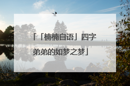 「楠楠自语」四字弟弟的如梦之梦