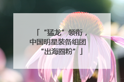 “猛龙”领衔，中国明星装备组团“出海圈粉”