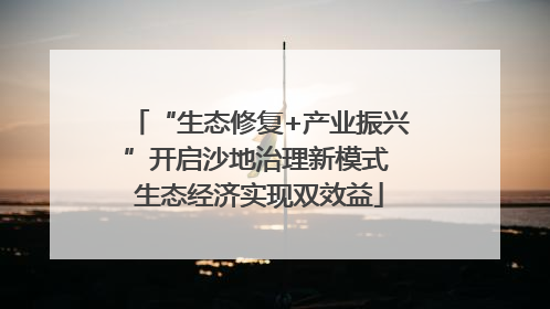 “生态修复+产业振兴”开启沙地治理新模式 生态经济实现双效益