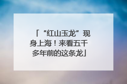 “红山玉龙”现身上海！来看五千多年前的这条龙