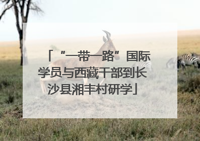 “一带一路”国际学员与西藏干部到长沙县湘丰村研学