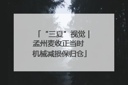 “三夏”视觉｜孟州麦收正当时 机械减损保归仓