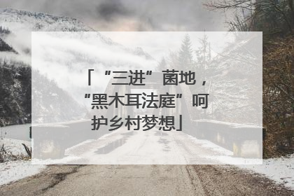 “三进”菌地，“黑木耳法庭”呵护乡村梦想