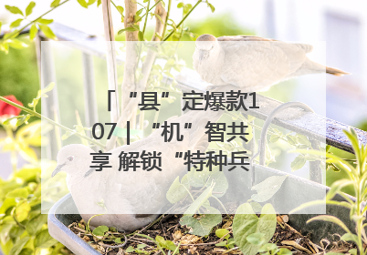 “县”定爆款107｜“机”智共享 解锁“特种兵团”的N种可能