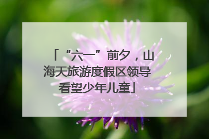 “六一”前夕，山海天旅游度假区领导看望少年儿童