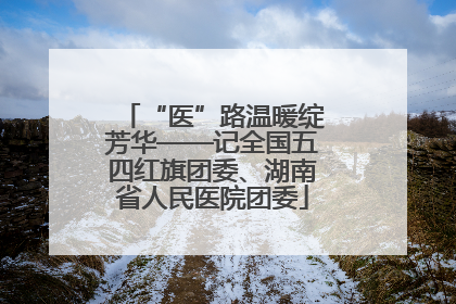 “医”路温暖绽芳华——记全国五四红旗团委、湖南省人民医院团委