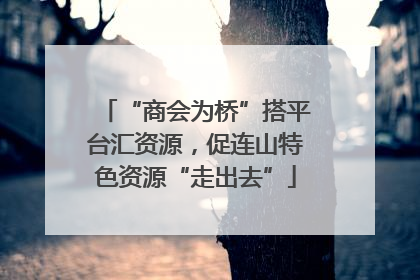 “商会为桥”搭平台汇资源，促连山特色资源“走出去”