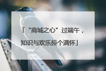 “商城之心”过端午，知识与欢乐撞个满怀