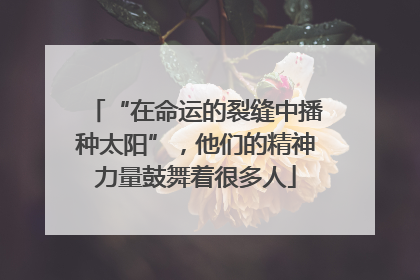 “在命运的裂缝中播种太阳”，他们的精神力量鼓舞着很多人