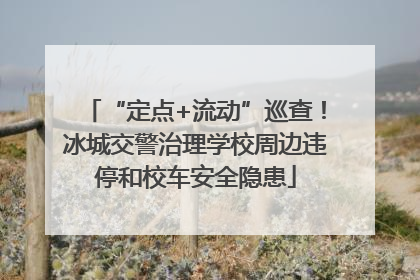“定点+流动”巡查！冰城交警治理学校周边违停和校车安全隐患