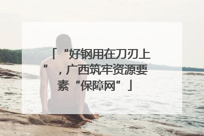 “好钢用在刀刃上”，广西筑牢资源要素“保障网”