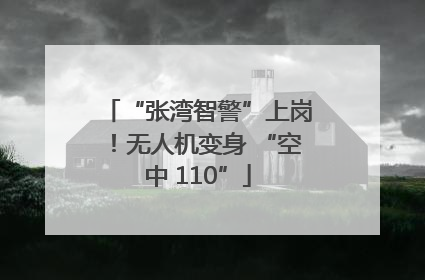 “张湾智警”上岗！无人机变身 “空中 110”