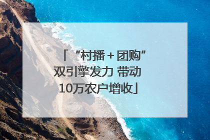 “村播＋团购”双引擎发力 带动10万农户增收