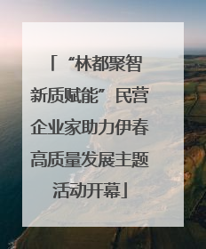 “林都聚智 新质赋能”民营企业家助力伊春高质量发展主题活动开幕