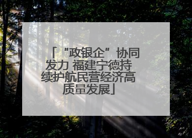 “政银企”协同发力 福建宁德持续护航民营经济高质量发展