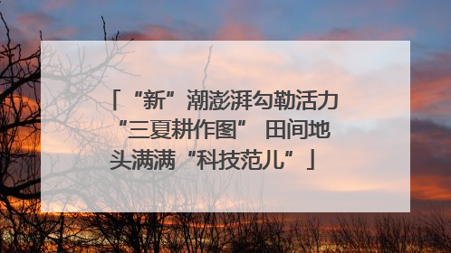 “新”潮澎湃勾勒活力“三夏耕作图” 田间地头满满“科技范儿”