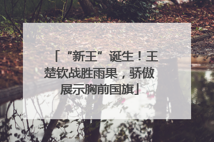 “新王”诞生！王楚钦战胜雨果，骄傲展示胸前国旗