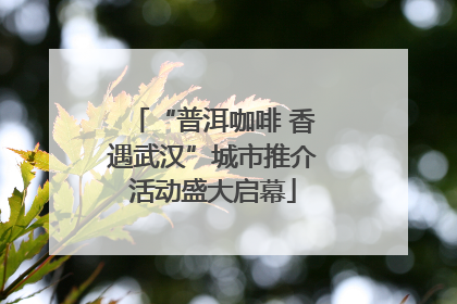 “普洱咖啡 香遇武汉”城市推介活动盛大启幕