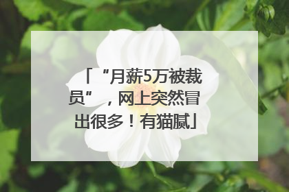“月薪5万被裁员”，网上突然冒出很多！有猫腻