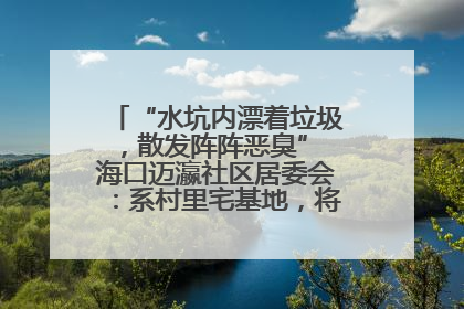 “水坑内漂着垃圾，散发阵阵恶臭” 海口迈瀛社区居委会：系村里宅基地，将派人打捞垃圾