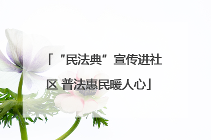 “民法典”宣传进社区 普法惠民暖人心