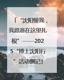 “沈阳懂我，我愿意在这里扎根”——2025“博士沈阳行”活动侧记