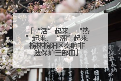 “活”起来、“热”起来、“潮”起来 榆林榆阳区奏响非遗保护三部曲