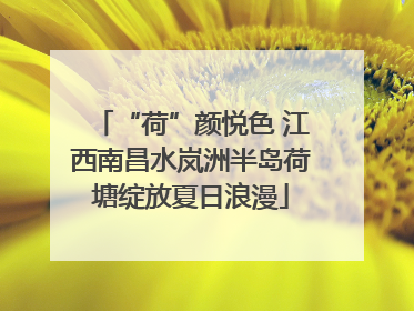 “荷”颜悦色 江西南昌水岚洲半岛荷塘绽放夏日浪漫