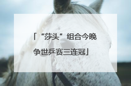 “莎头”组合今晚争世乒赛三连冠