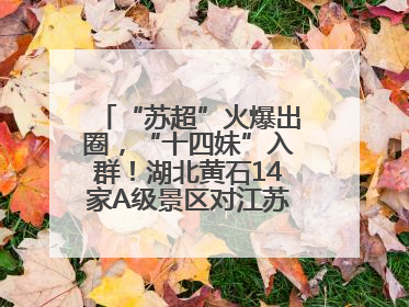 “苏超”火爆出圈，“十四妹”入群！湖北黄石14家A级景区对江苏游客免票