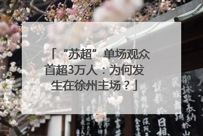 “苏超”单场观众首超3万人：为何发生在徐州主场？