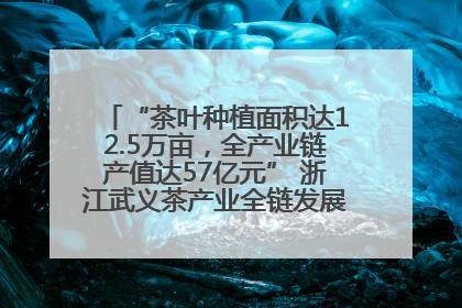“茶叶种植面积达12.5万亩，全产业链产值达57亿元” 浙江武义茶产业全链发展“加速度”