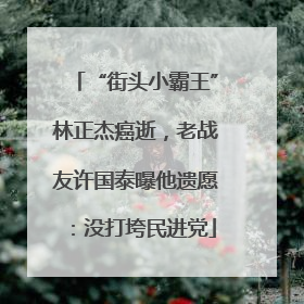 “街头小霸王”林正杰癌逝，老战友许国泰曝他遗愿：没打垮民进党