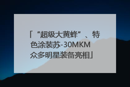 “超级大黄蜂”、特色涂装苏-30MKM 众多明星装备亮相