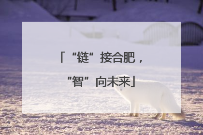“链”接合肥，“智”向未来