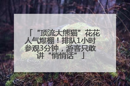“顶流大熊猫”花花人气爆棚！排队1小时参观3分钟，游客只敢讲“悄悄话”