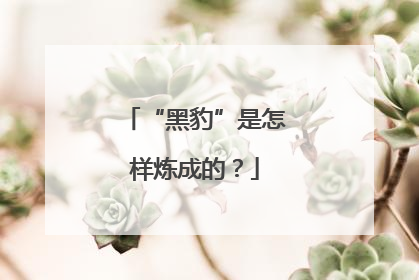 “黑豹”是怎样炼成的？