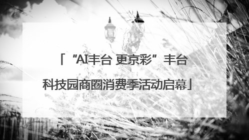 “AI丰台 更京彩”丰台科技园商圈消费季活动启幕