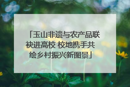 玉山非遗与农产品联袂进高校 校地携手共绘乡村振兴新图景