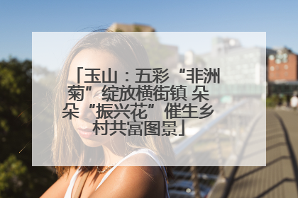 玉山：五彩“非洲菊”绽放横街镇 朵朵“振兴花”催生乡村共富图景