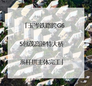 玉岑铁路跨G65包茂高速特大桥系杆拱主体完工
