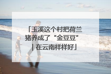 玉溪这个村把荷兰猪养成了“金豆豆”｜在云南样样好