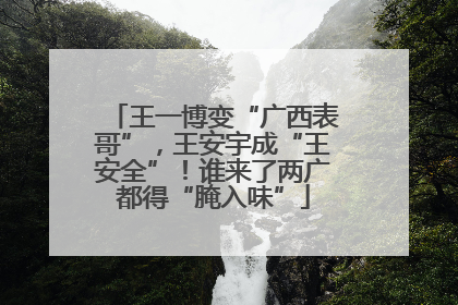王一博变“广西表哥”，王安宇成“王安全”！谁来了两广都得“腌入味”