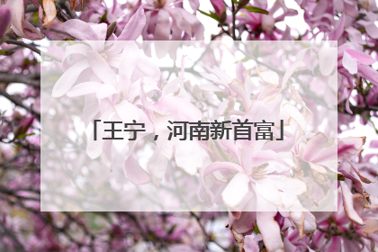 王宁，河南新首富
