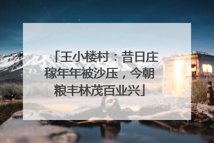 王小楼村：昔日庄稼年年被沙压，今朝粮丰林茂百业兴